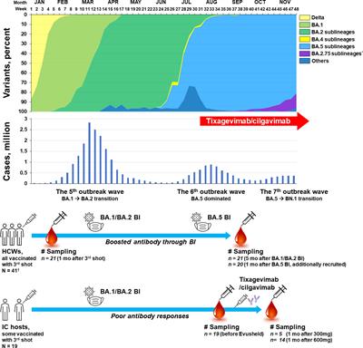 Neutralizing activity against Omicron BA.5 after tixagevimab/cilgavimab administration comparable to those after Omicron BA.1/BA.2 breakthrough infections